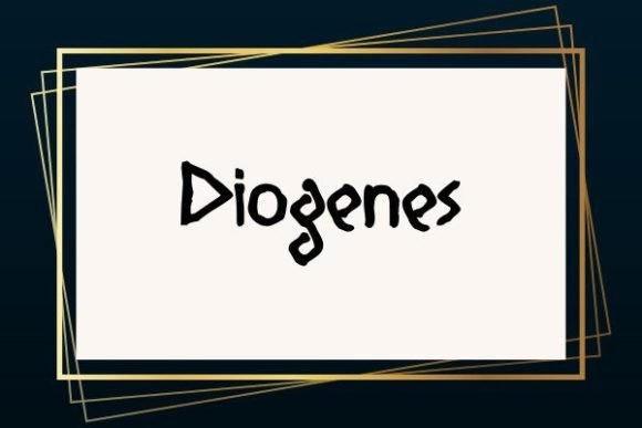 Diogenes Font: Elevating Campaign Visuals with Unique Display Type