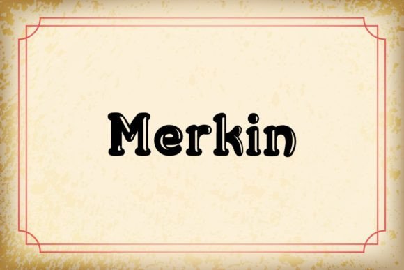 Merkin: A Designer’s Take on This Free Display Font