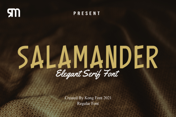 Salamander Font Review: A Modern Display Typeface for Bold Branding